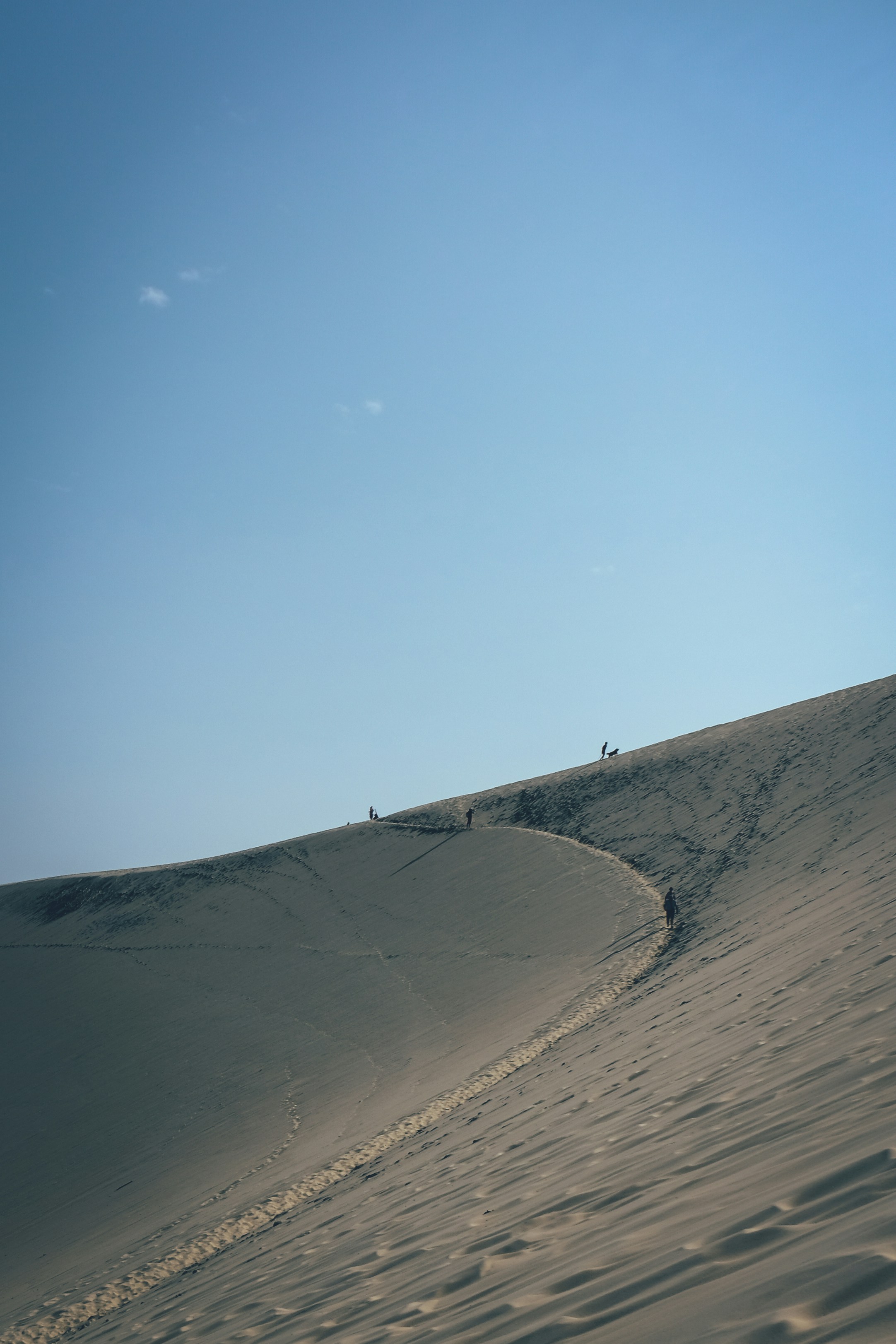 Photo by francesco_ungaro