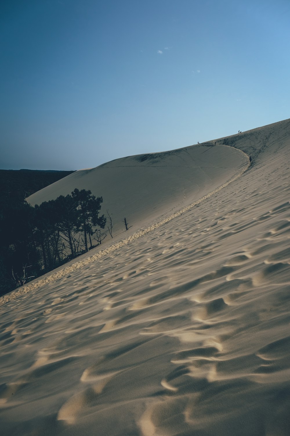 dune sand scenery