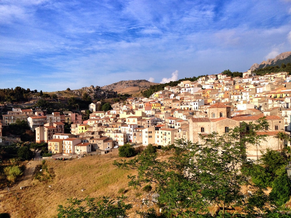 white and brown concrete buildings during daytime