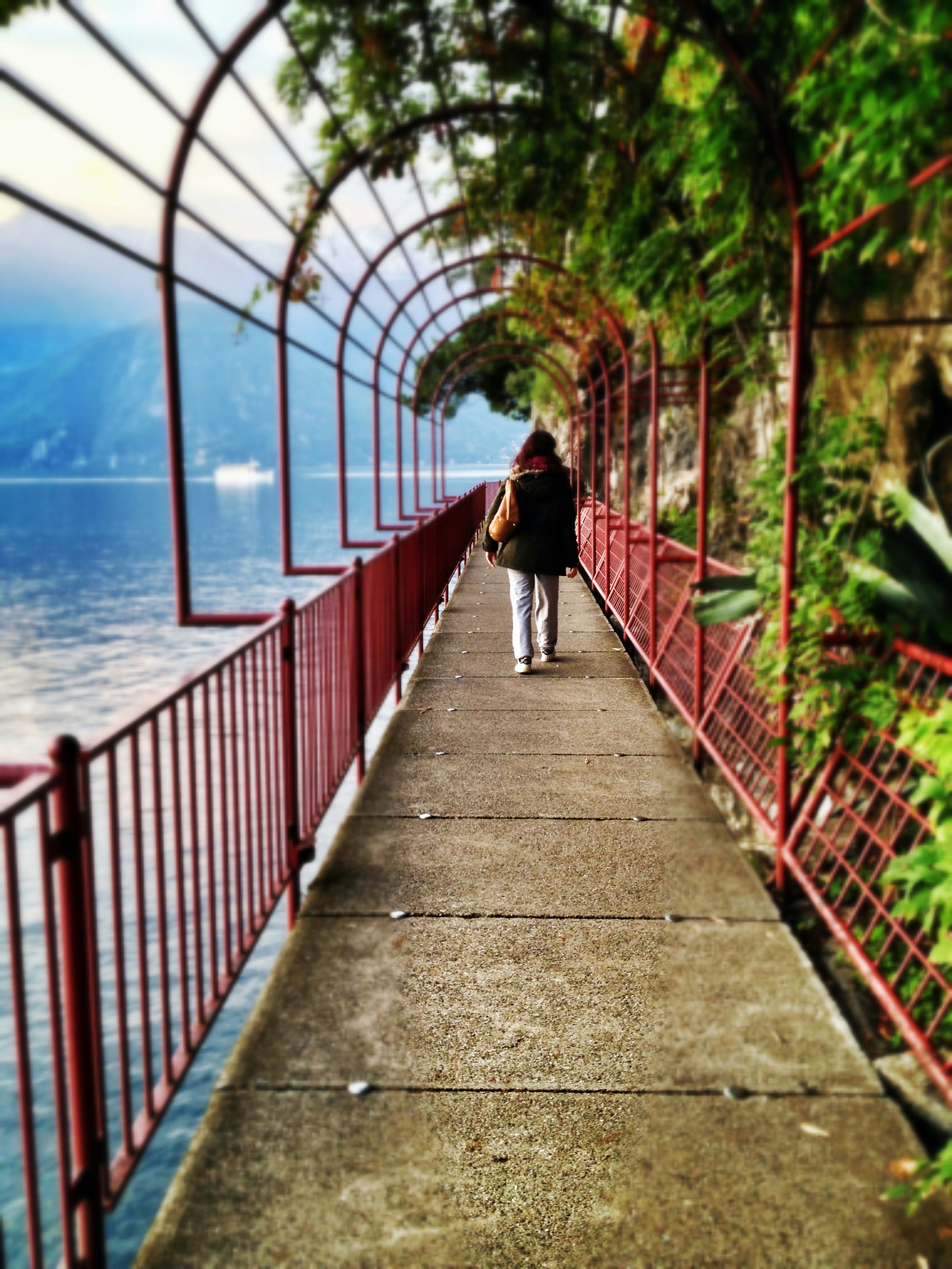 person standing near pathway