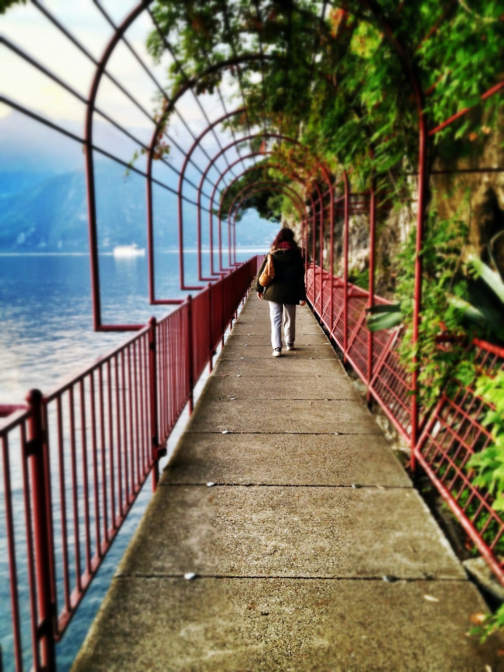 person standing near pathway