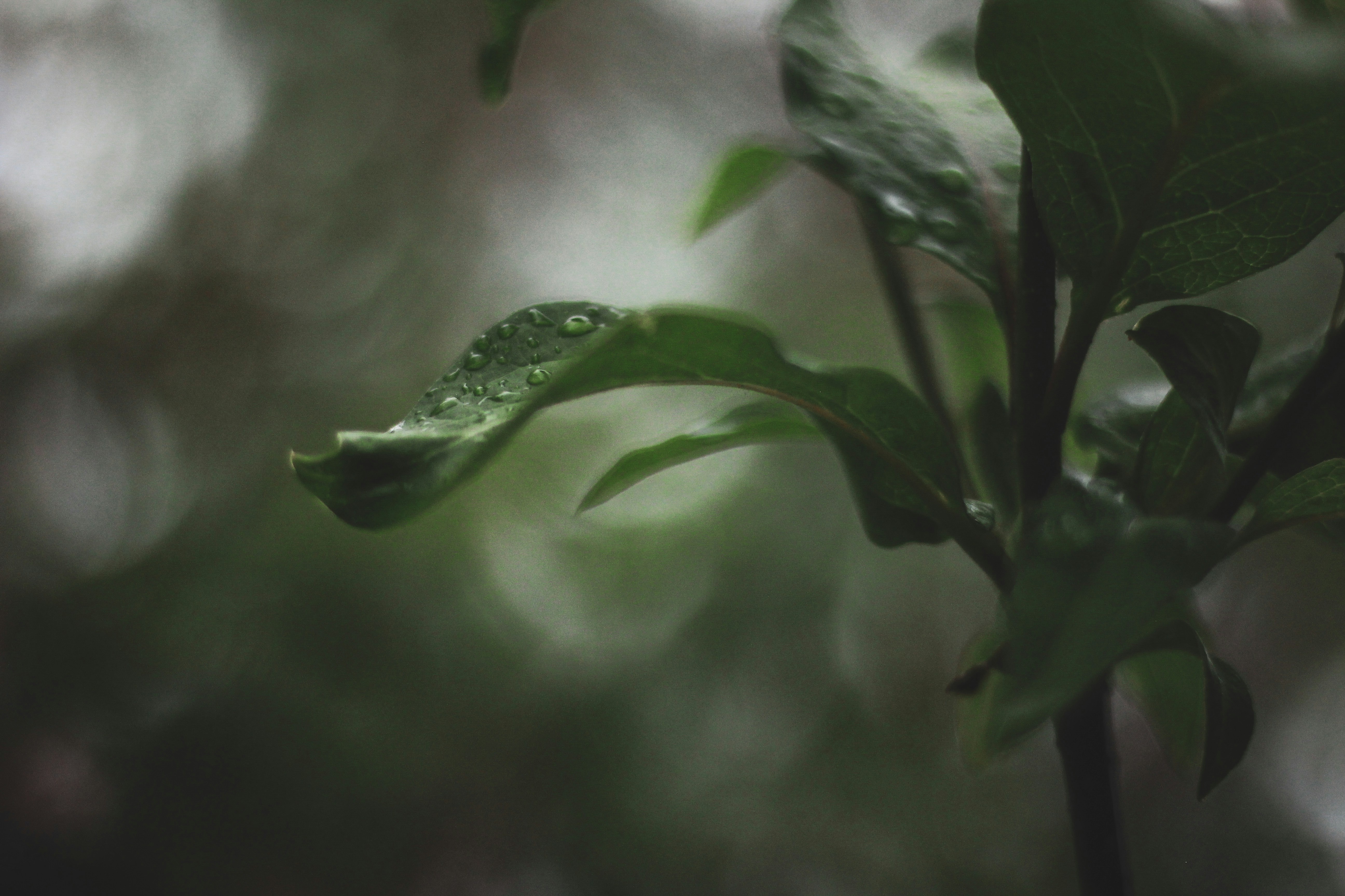 Photo by anastasiavitph