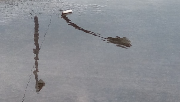 A reflection of a street lamp and a small cylindrical object floating on a puddle of water, creating an abstract and serene scene.