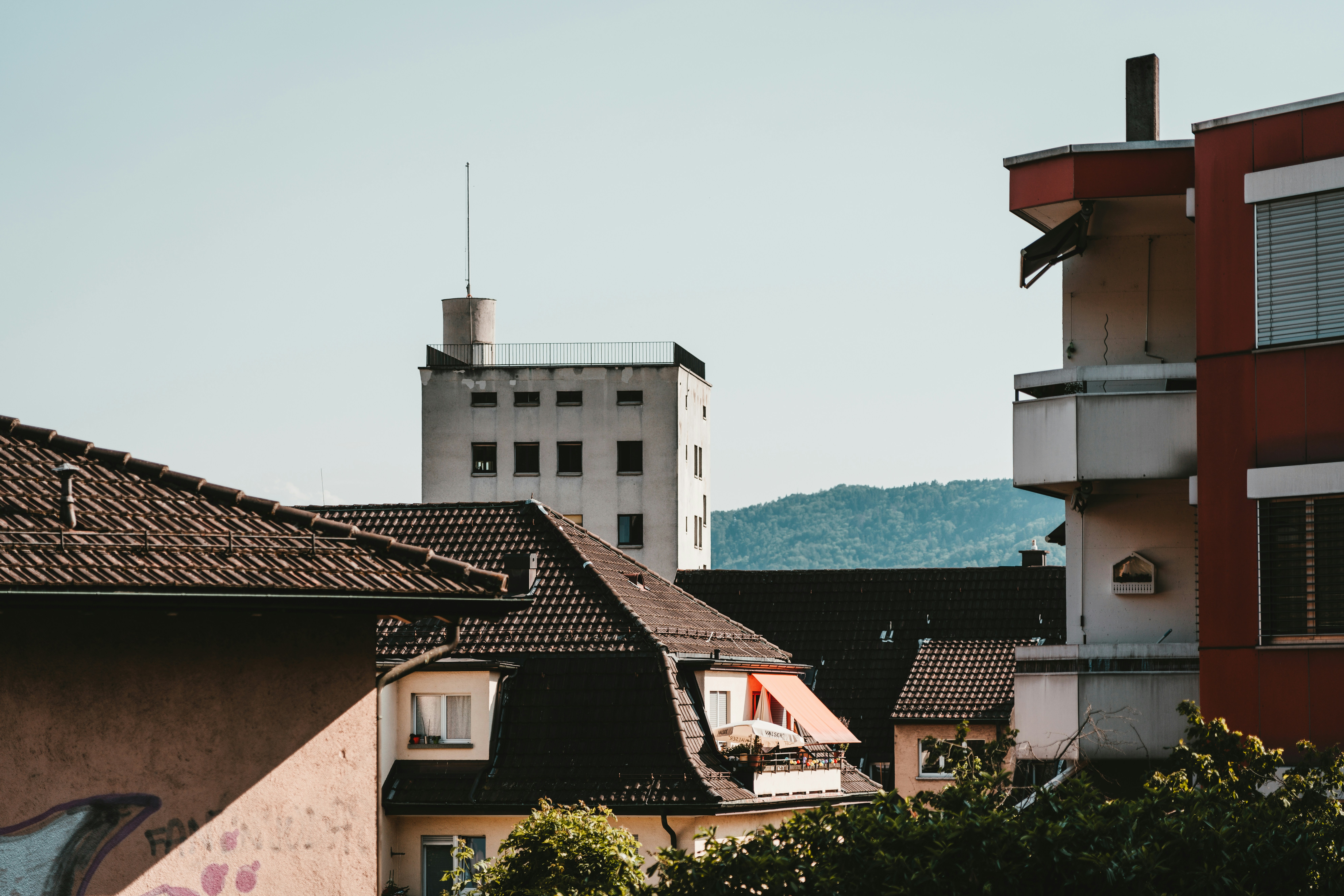 Image by Claudio Schwarz via Unsplash