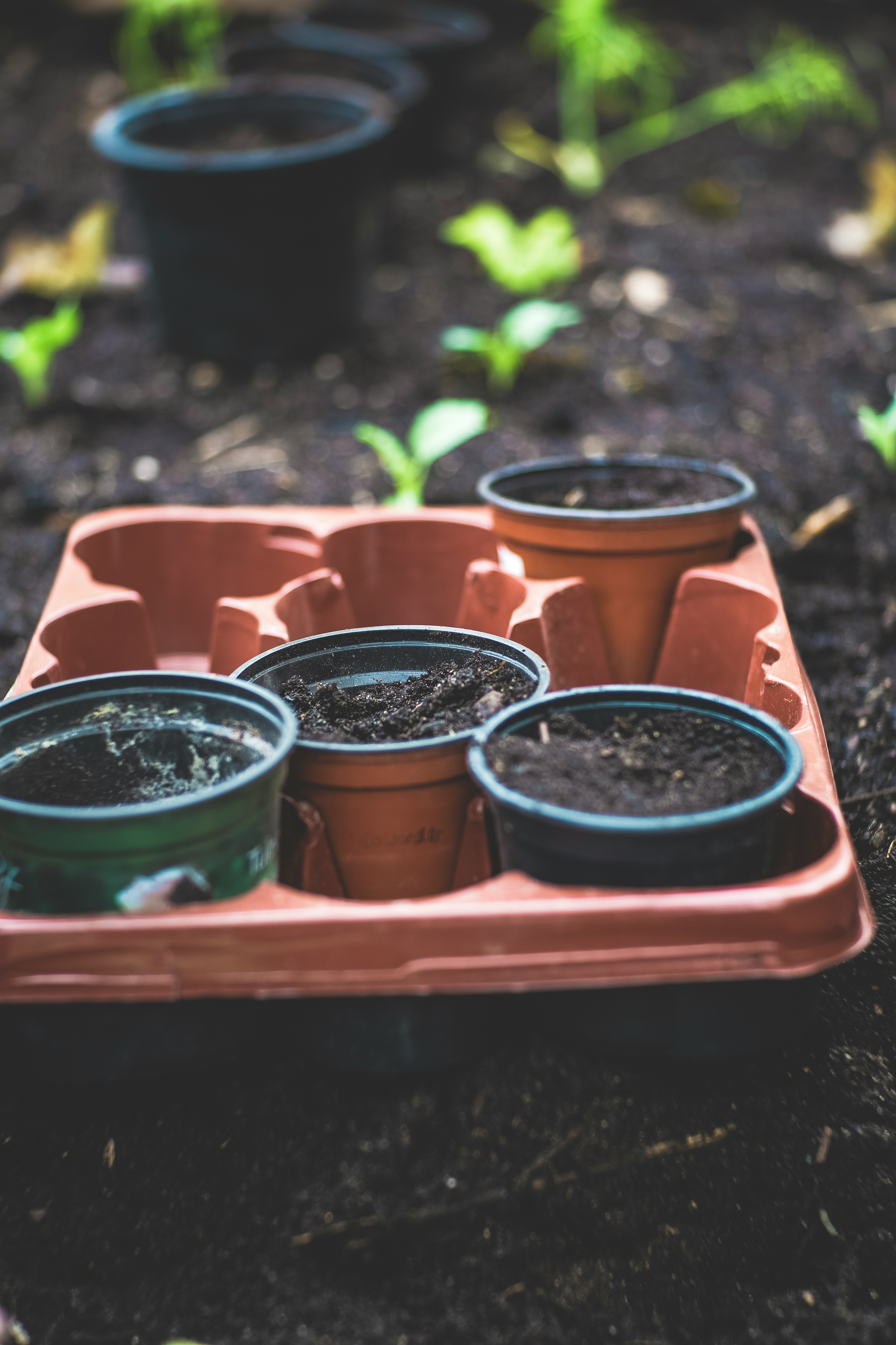 assorted-color plastic pots