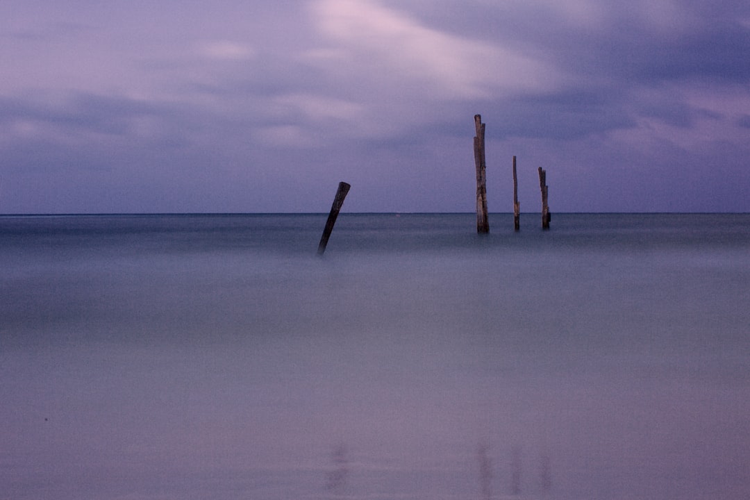 four wooden posts on calm body of water