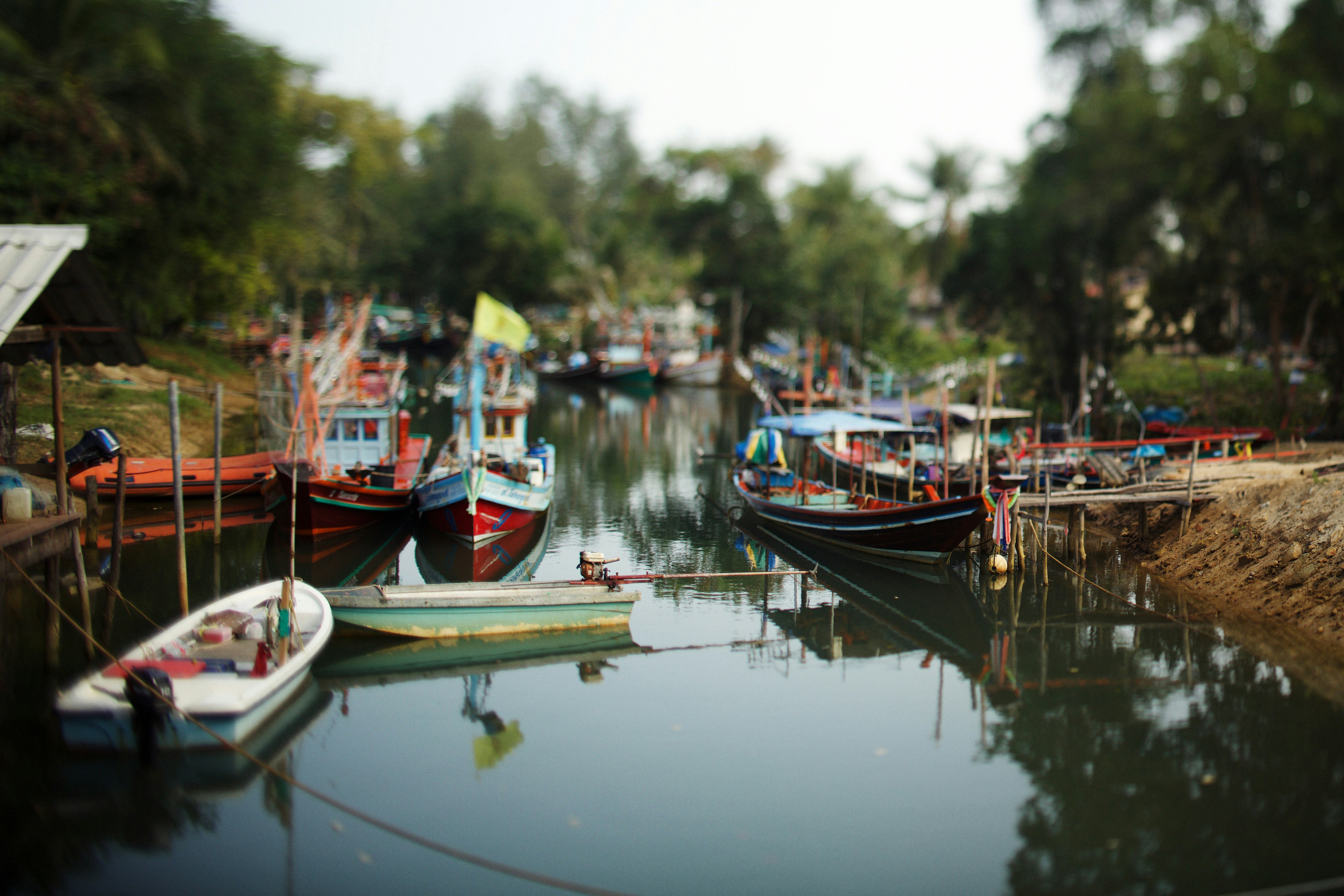 Photo by alexeydemidov