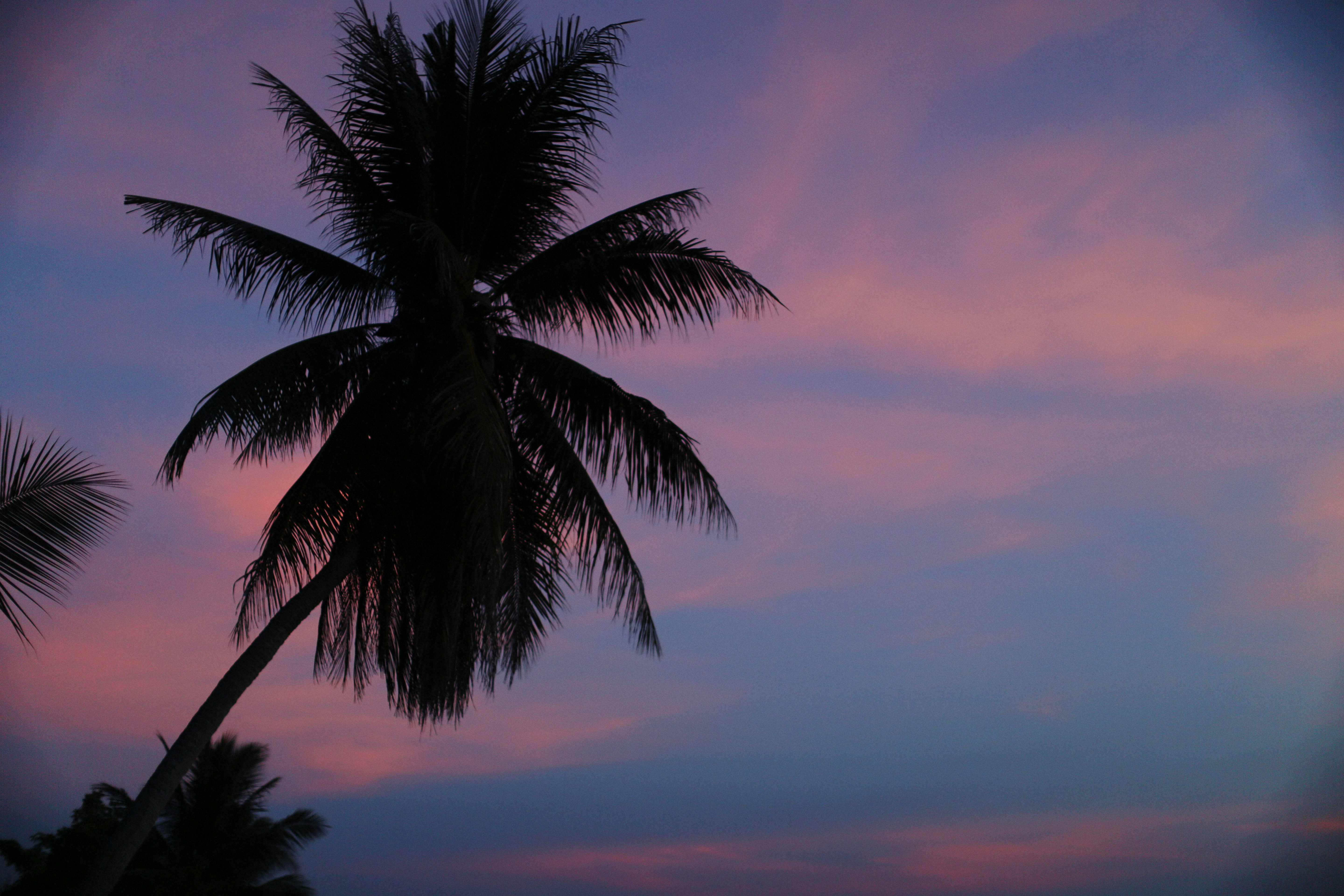 Photo by alexeydemidov