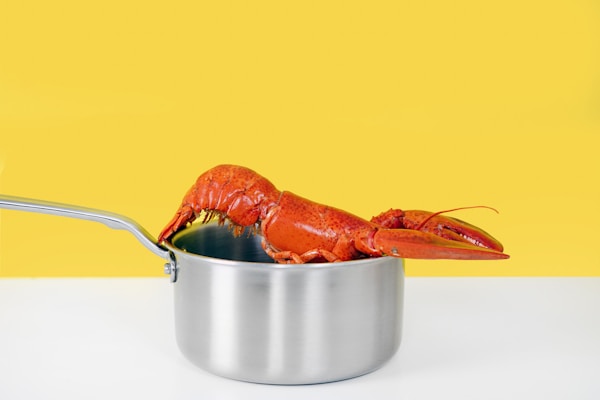 Cooked shrimp