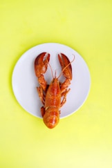 lobster on white saucer
