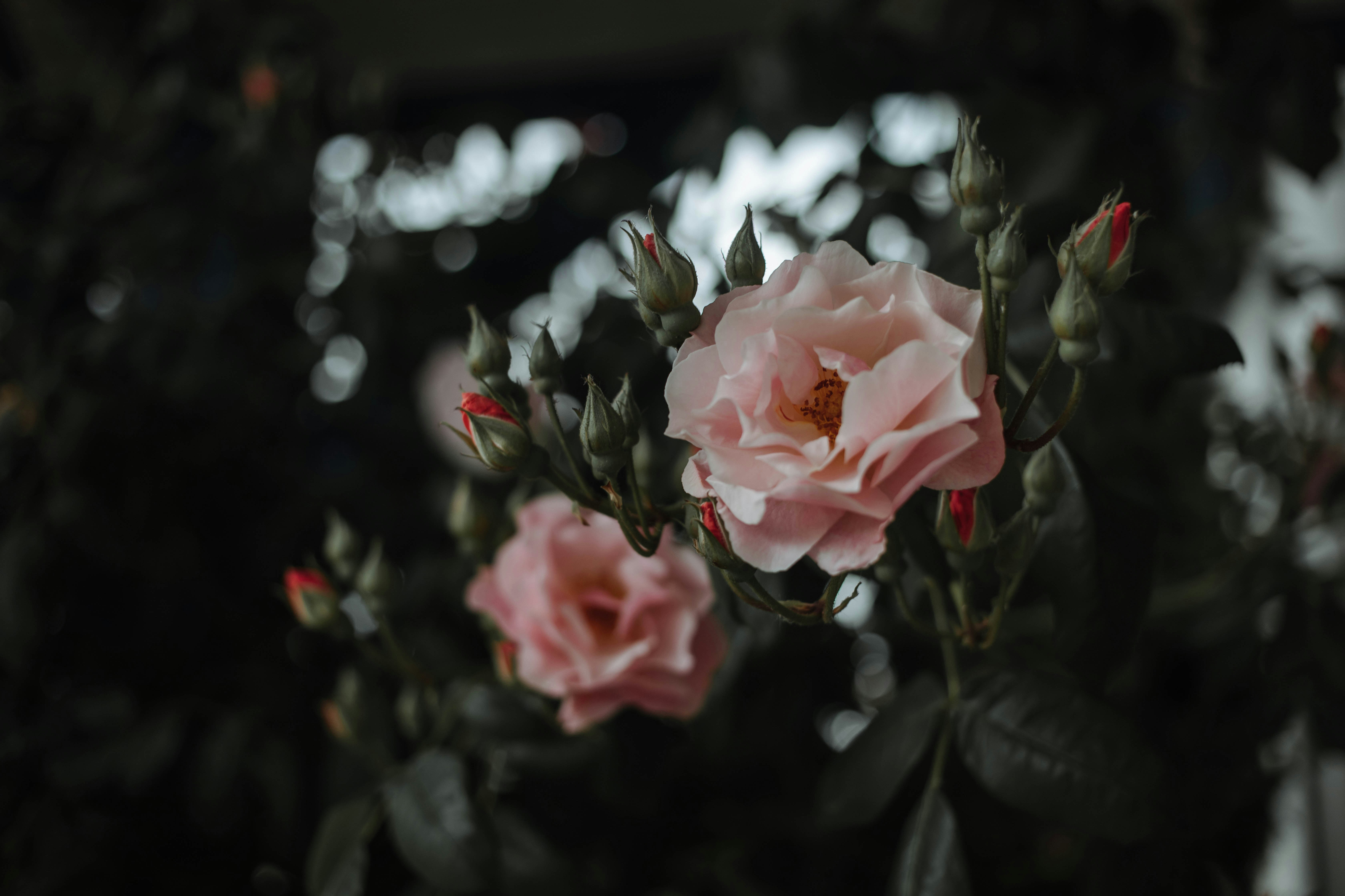 Photo by camille_plds