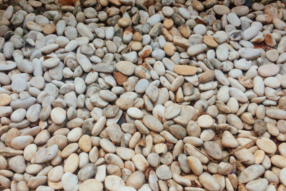 gray stone pebbles