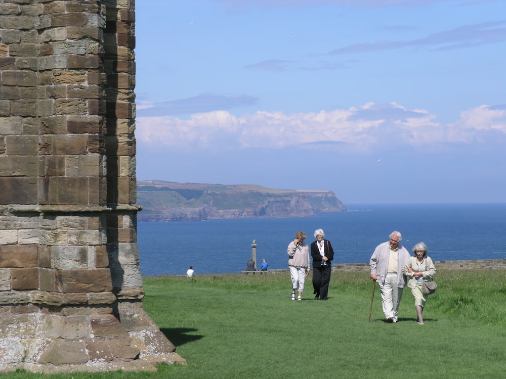 people walking on green grass field bear body of water