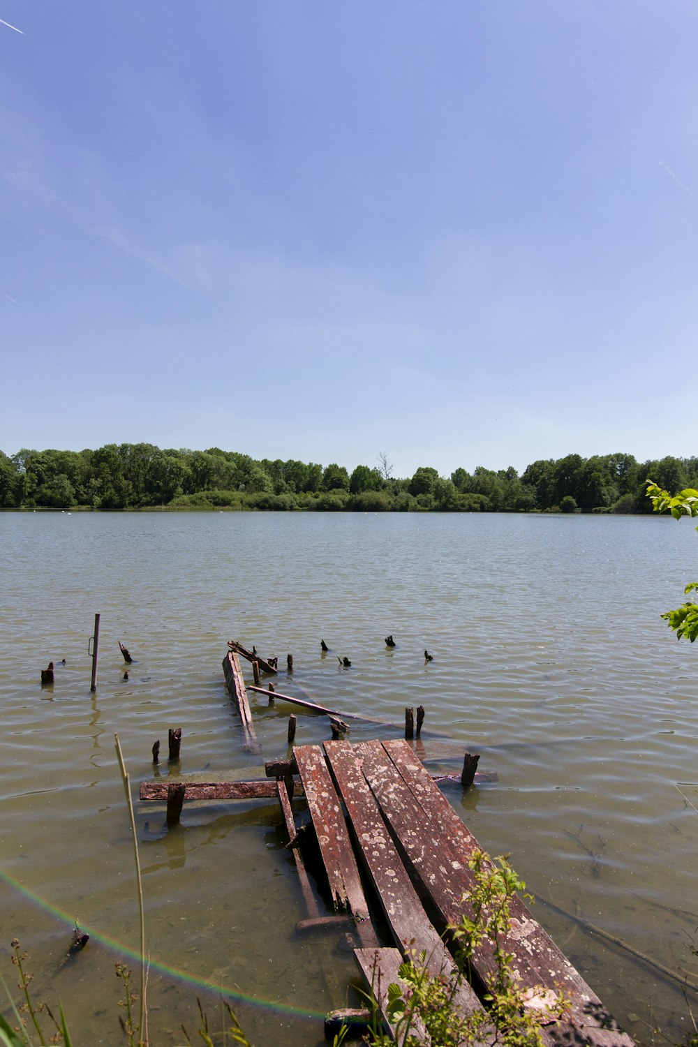 brown wooden dock near green trees under blue sky during daytime