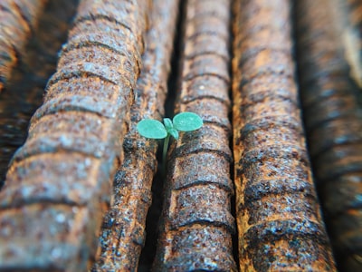 green sprout growing between re-bars hope teams background