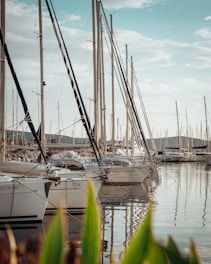 group of parked boats