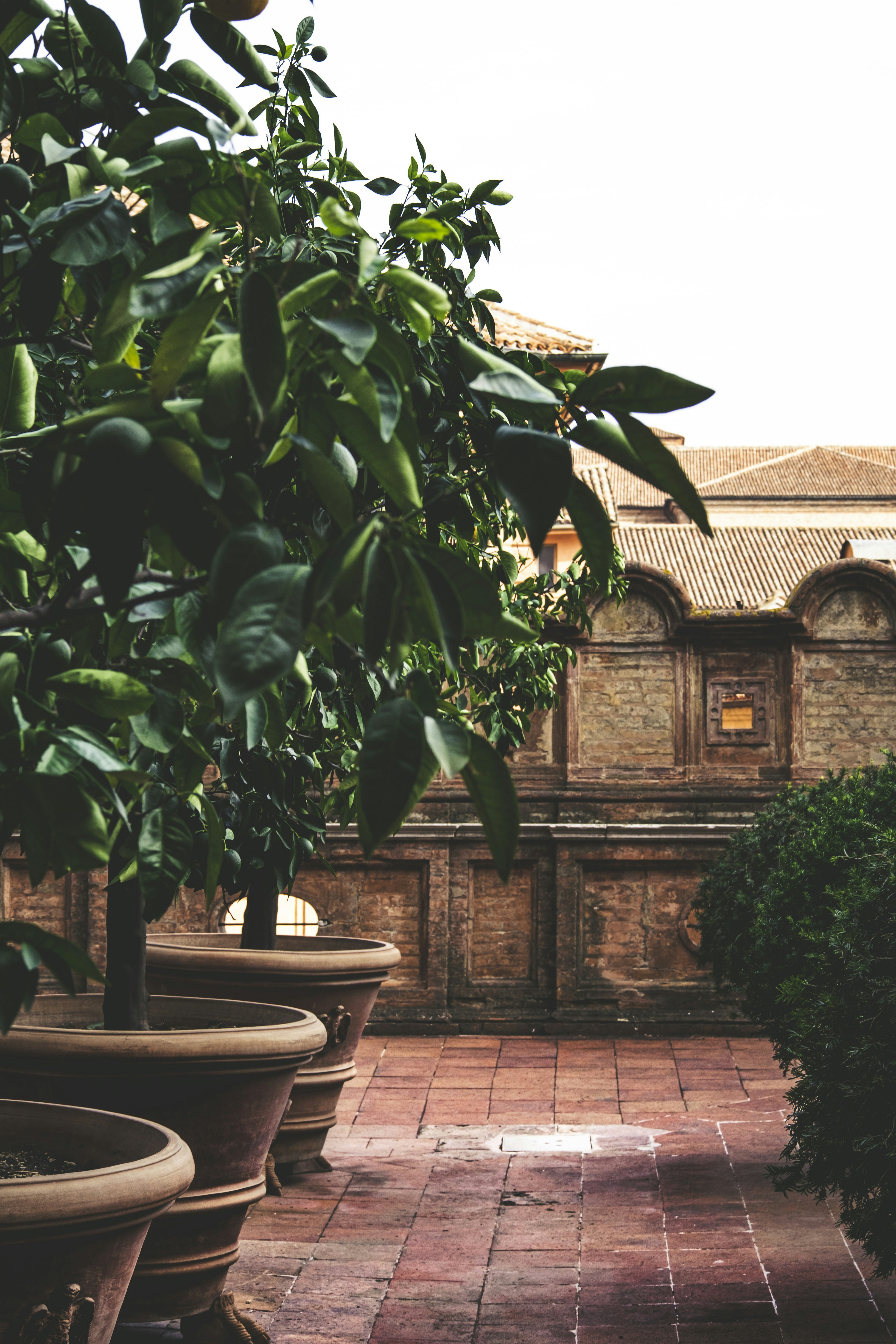 Photo by enricosottocorna