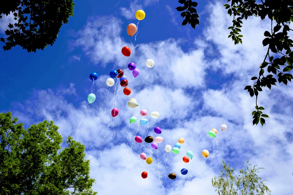 balloons photo – Free Unsplash