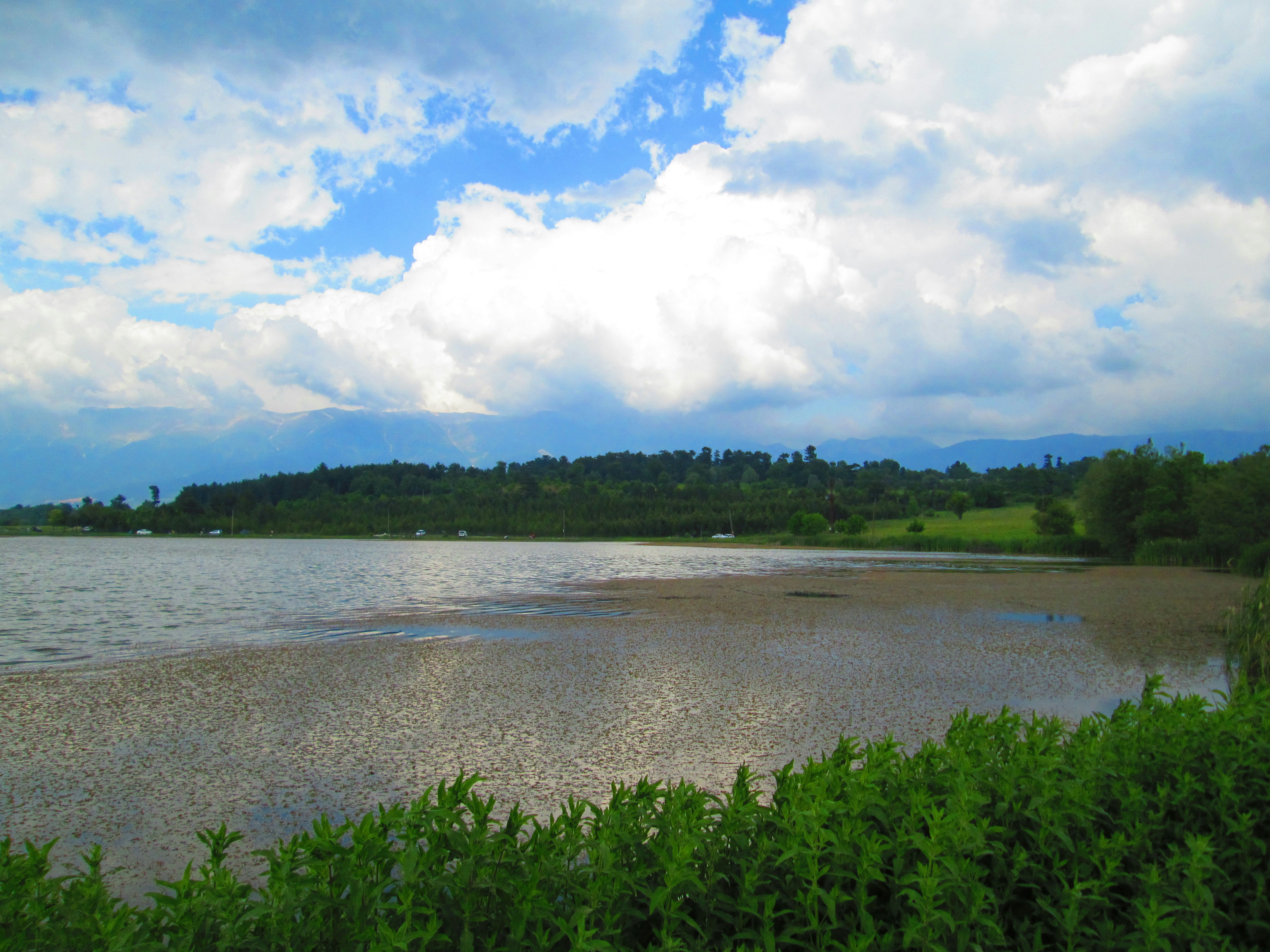 Photo by alpersentekin