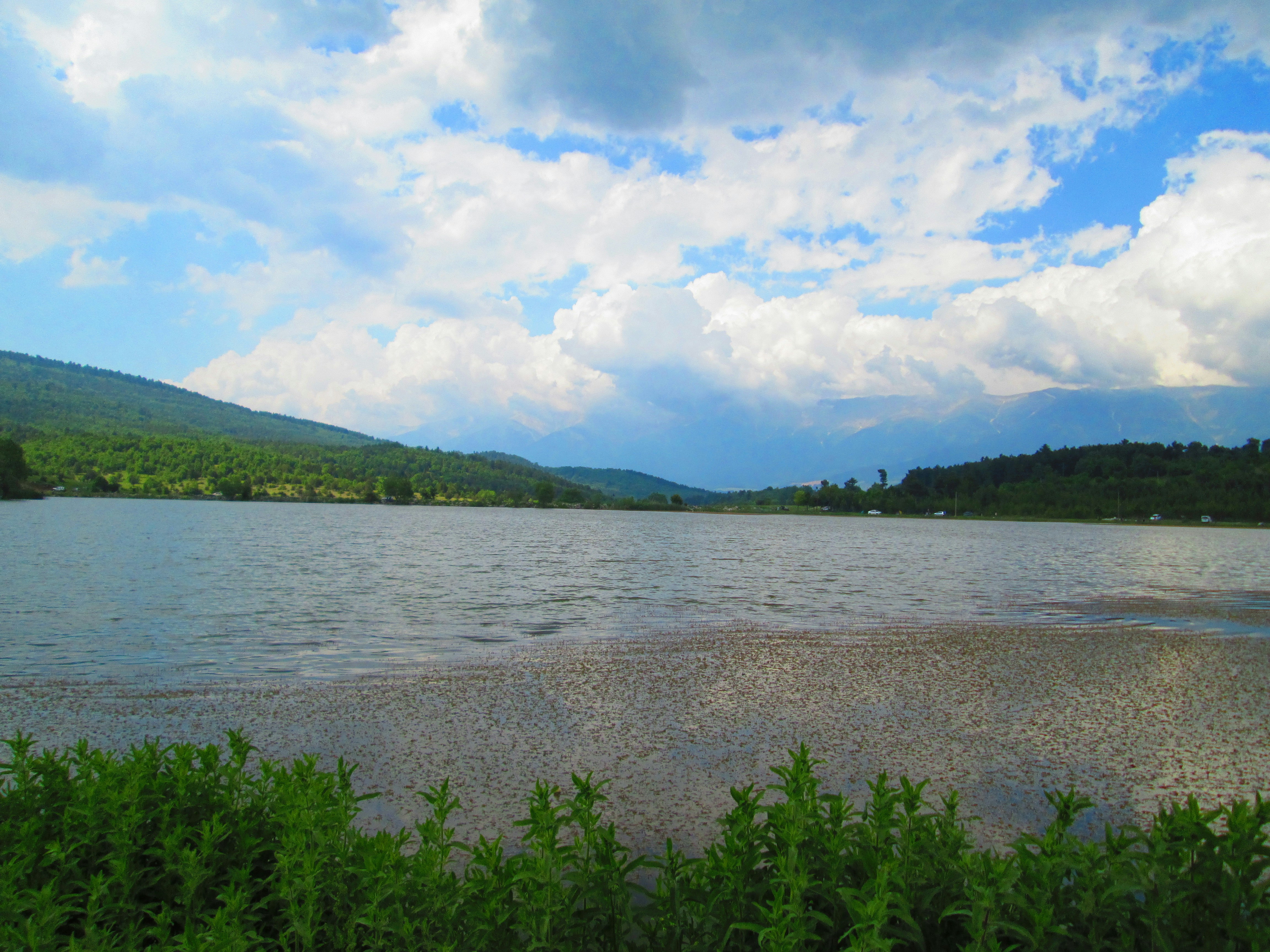 Photo by alpersentekin