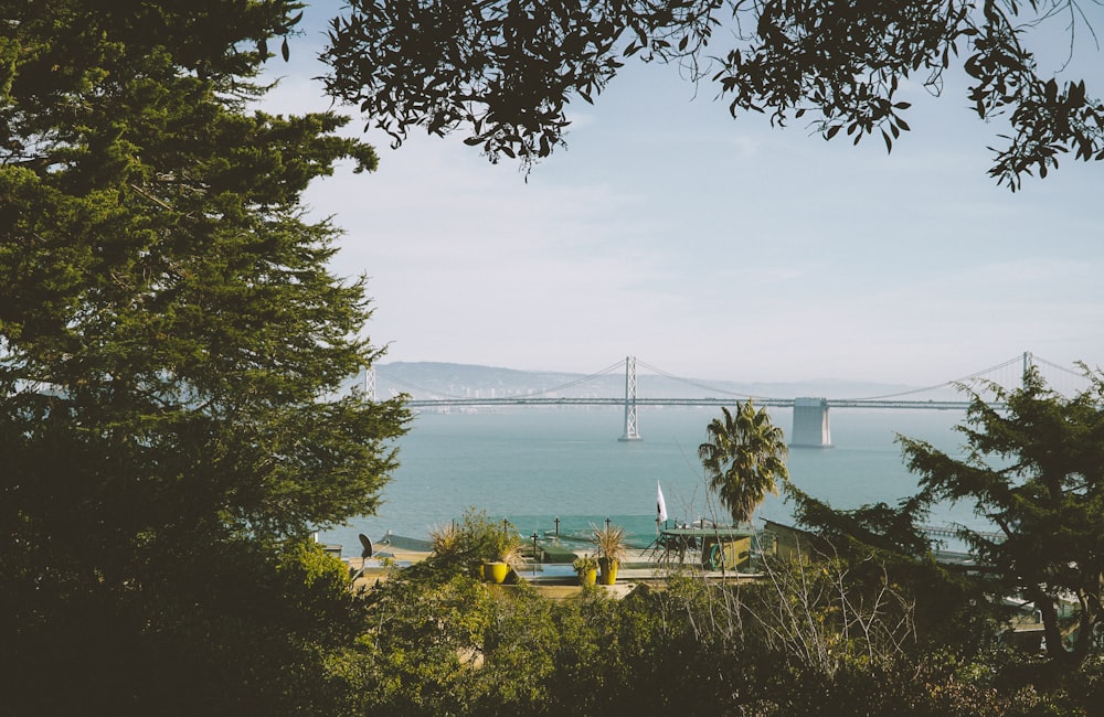 white bridge across bay