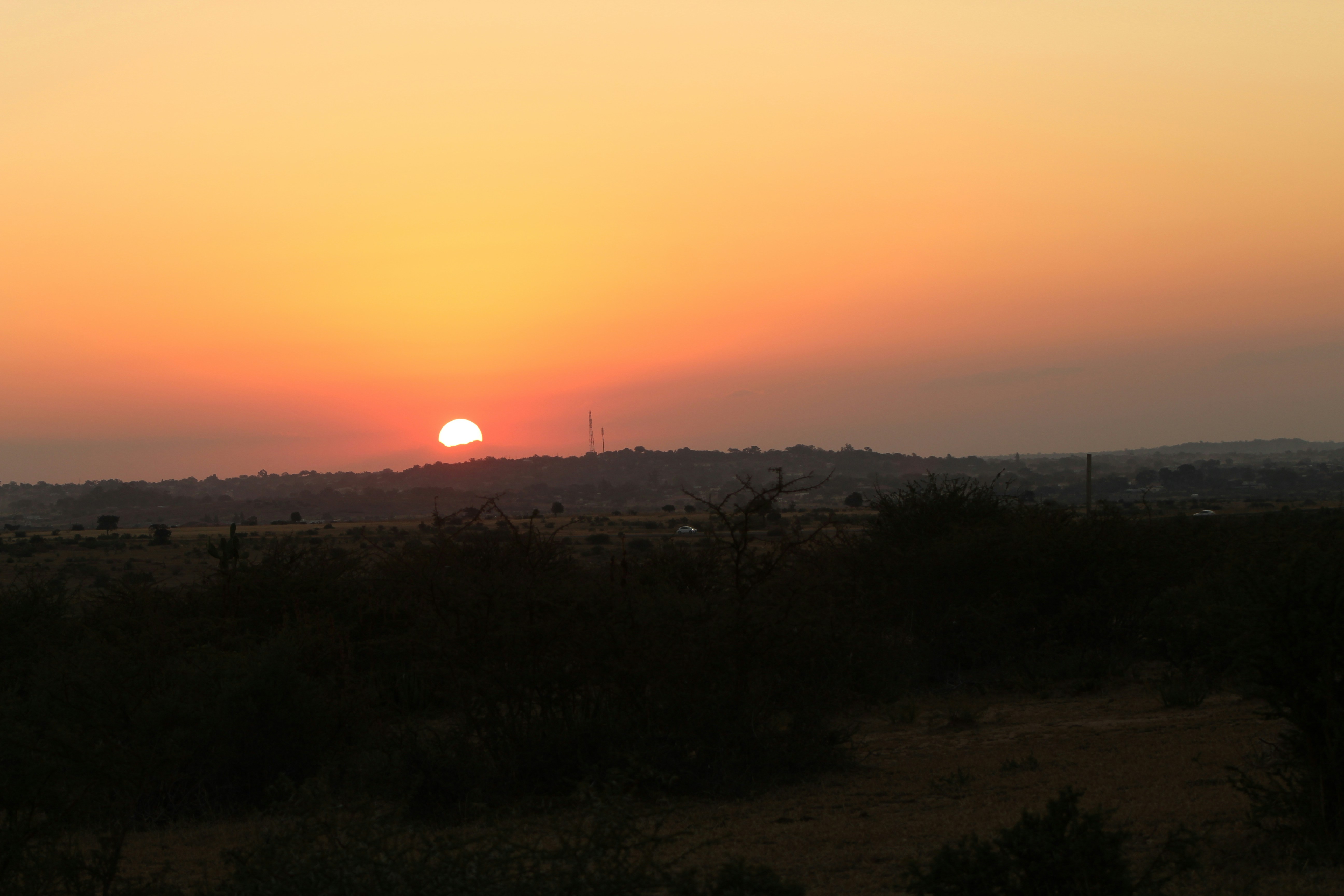 Photo by stewardesign