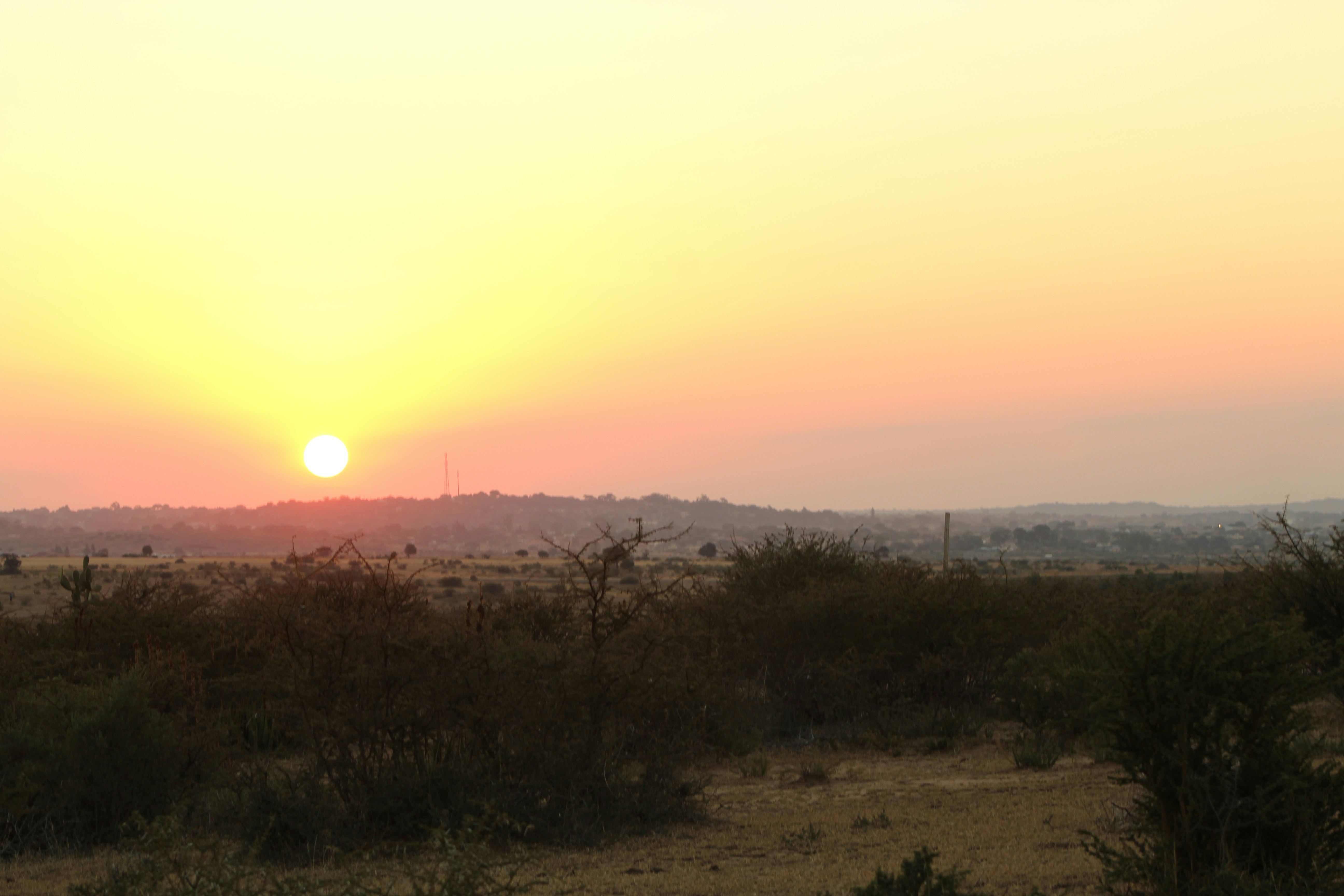 sunset at the desert covered with bushes