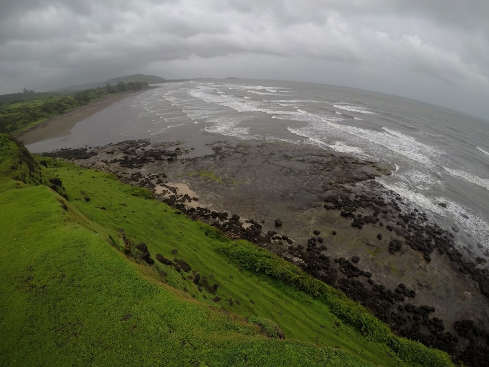 aerial photography of shore