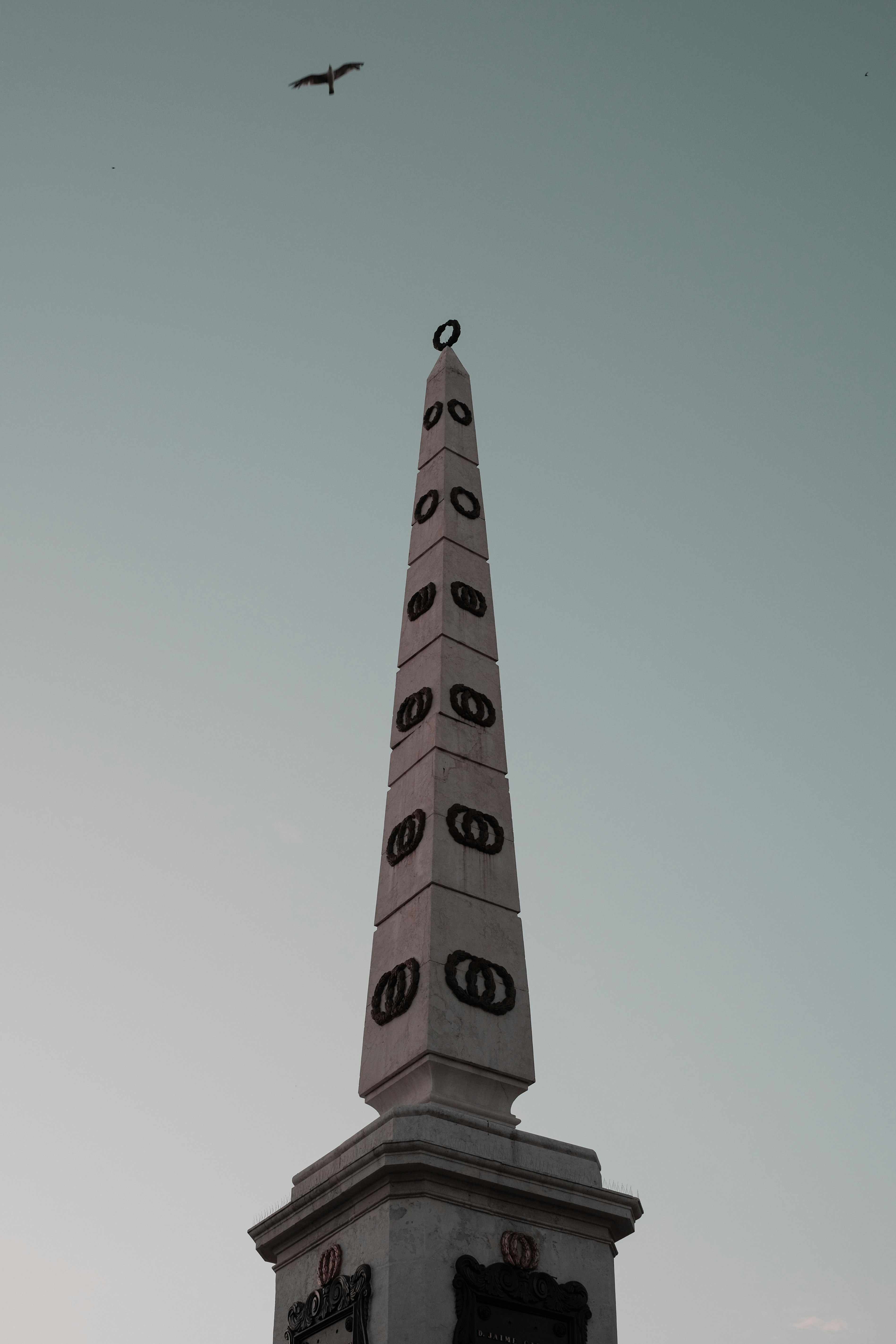 Photo by victor_vector