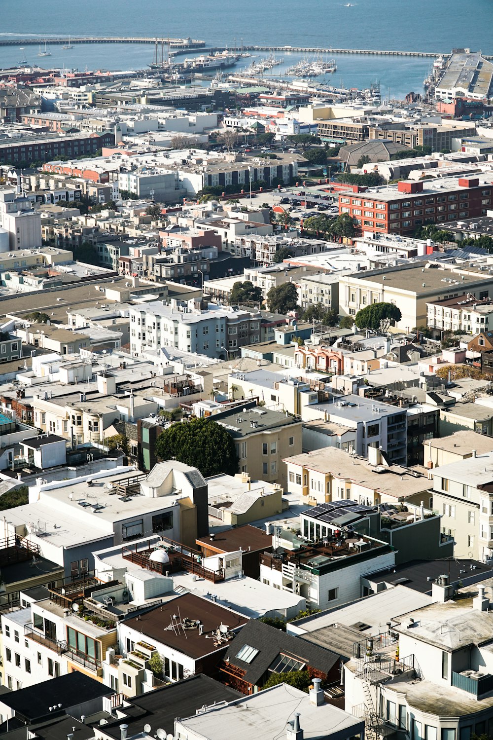 Edifícios virados para o oceano