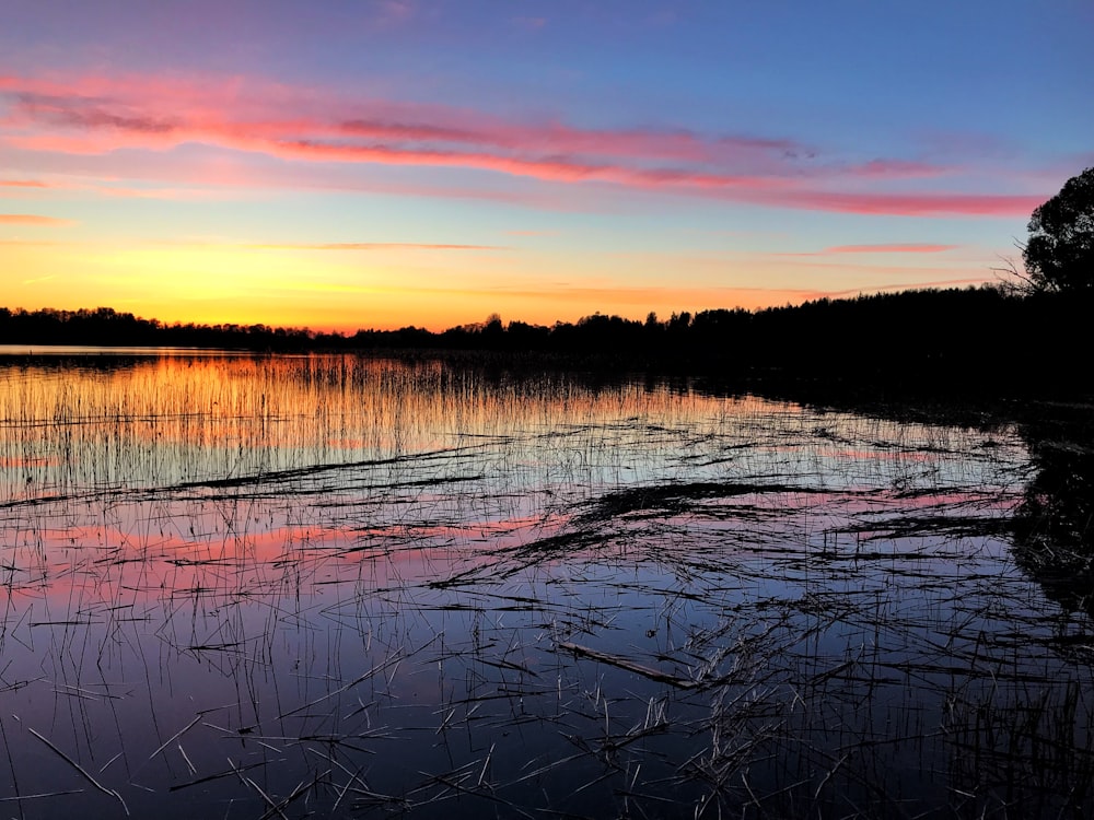 lake surrounded with trees under sunset