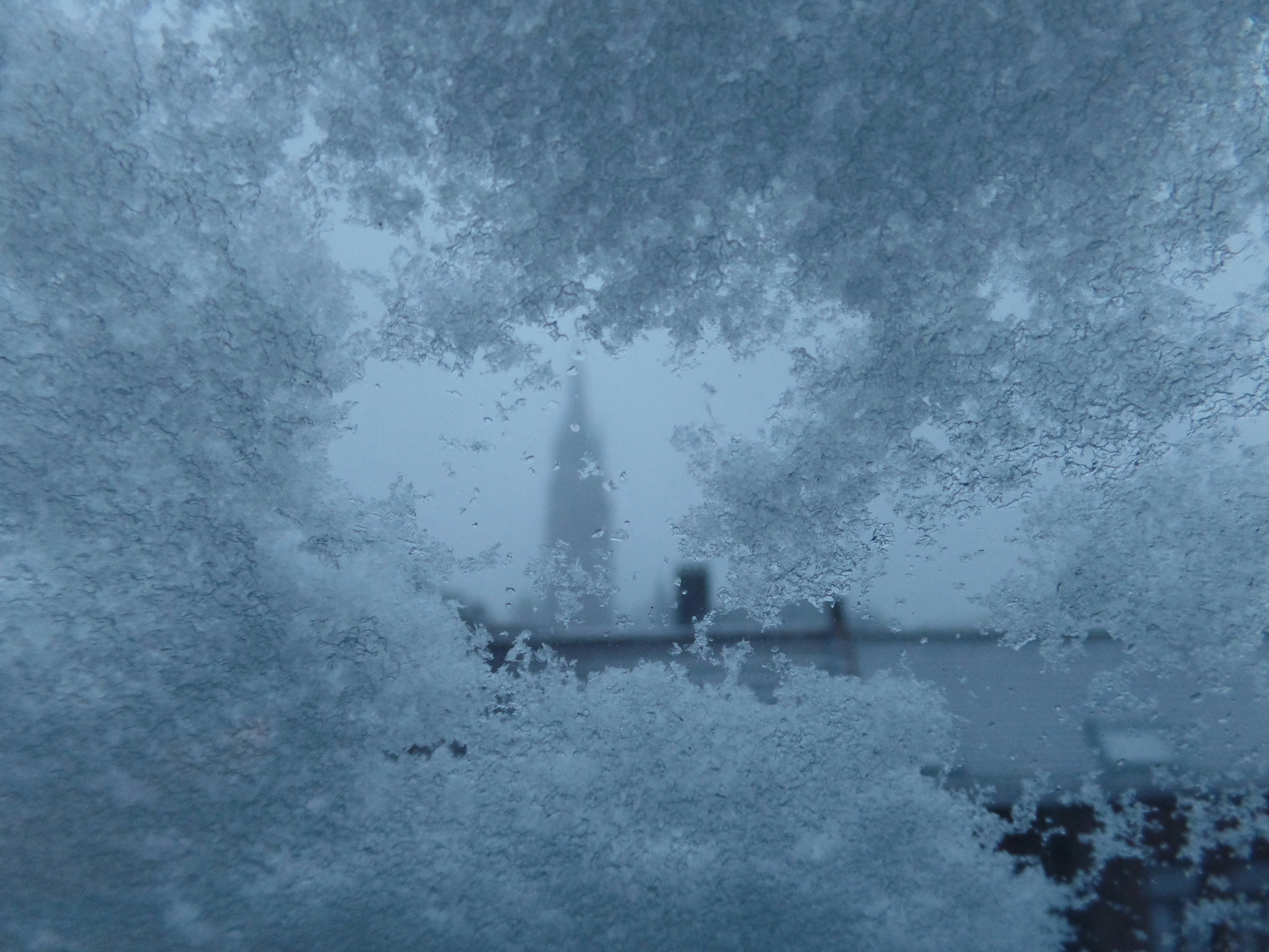 Photo by manalishi1704