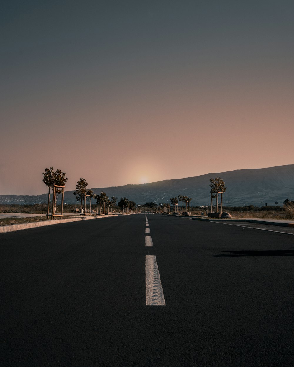 autostrada tra gli alberi durante l'ora d'oro