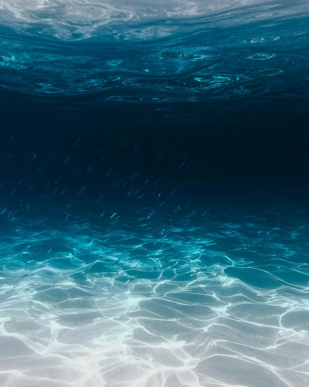 Cuerpo de agua azul y claro