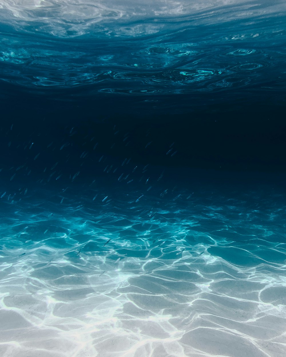 450+ Stunning Blue Ocean Pictures | Download Free Images on Unsplash