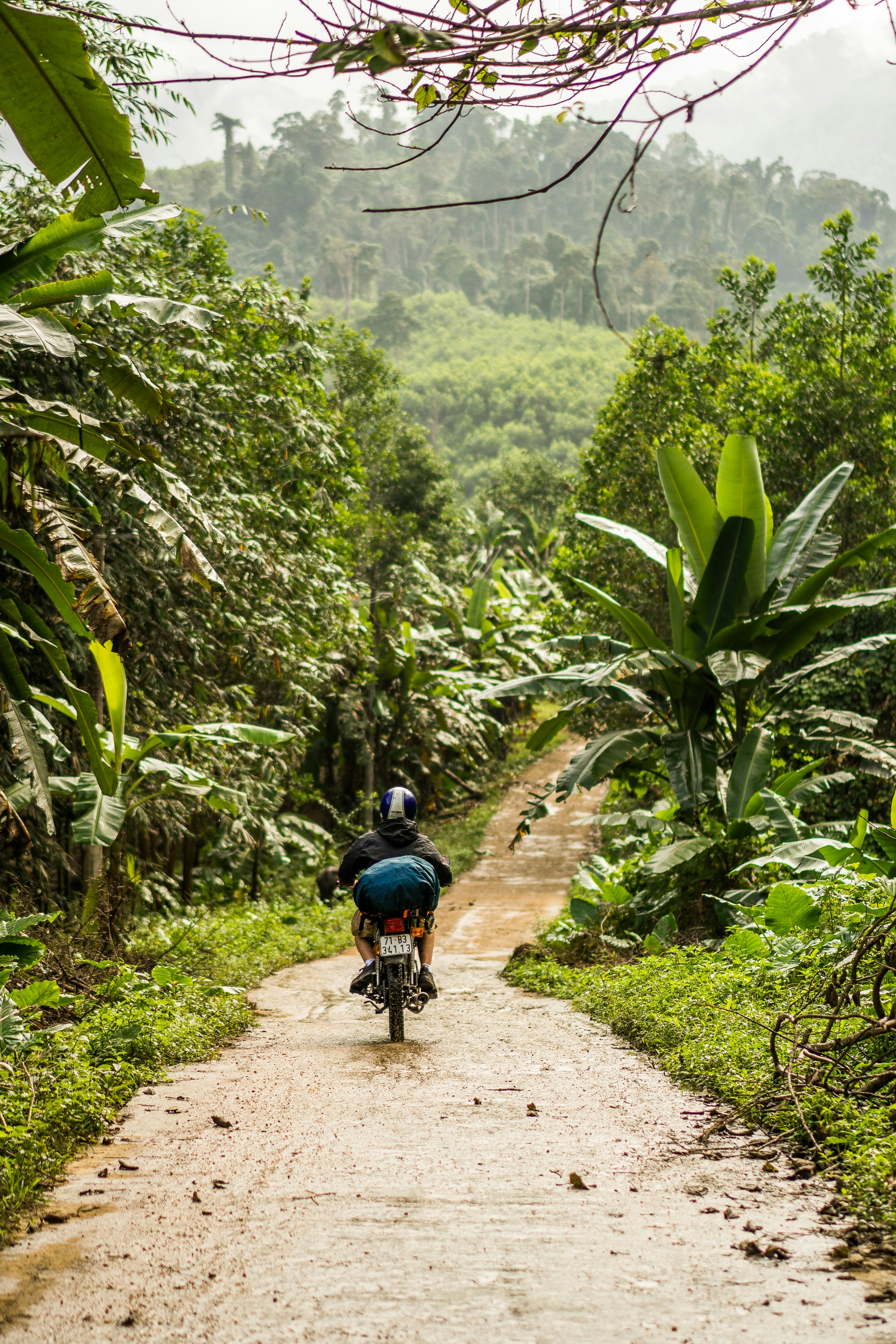 Photo by silasbaisch