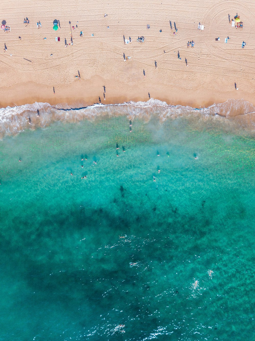 Vista de pájaro de la costa