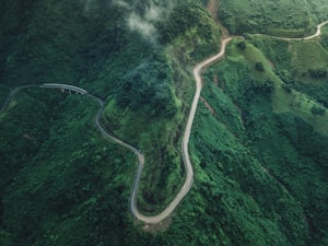 Caribbean nature scene with tropical plants by Marcus Campbell