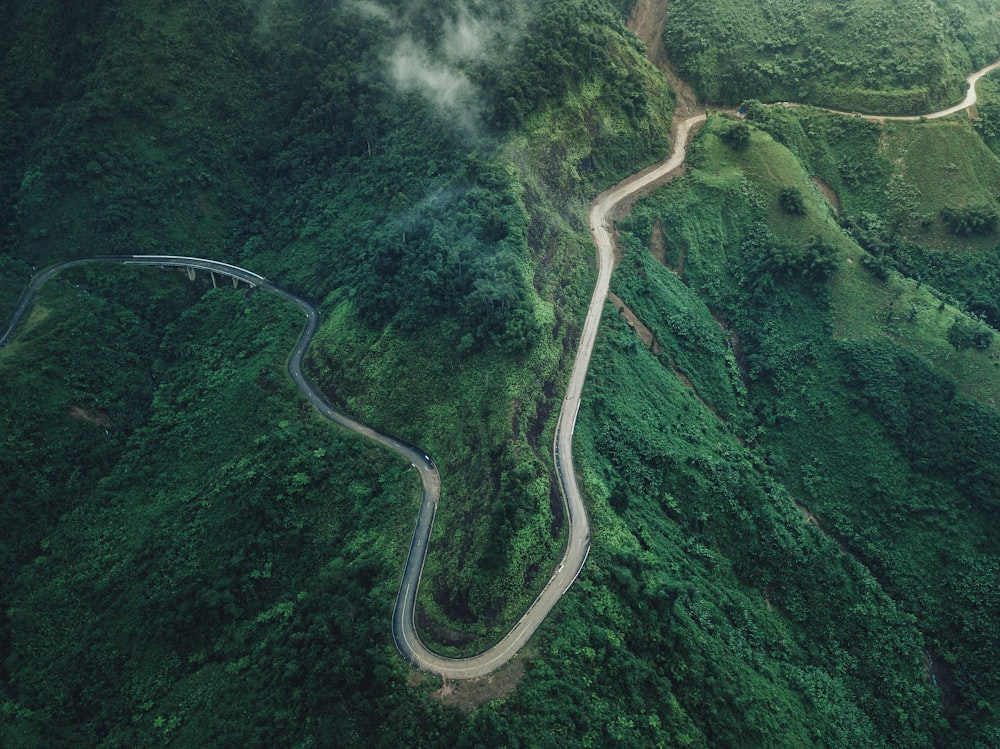 aerial photography of roadway