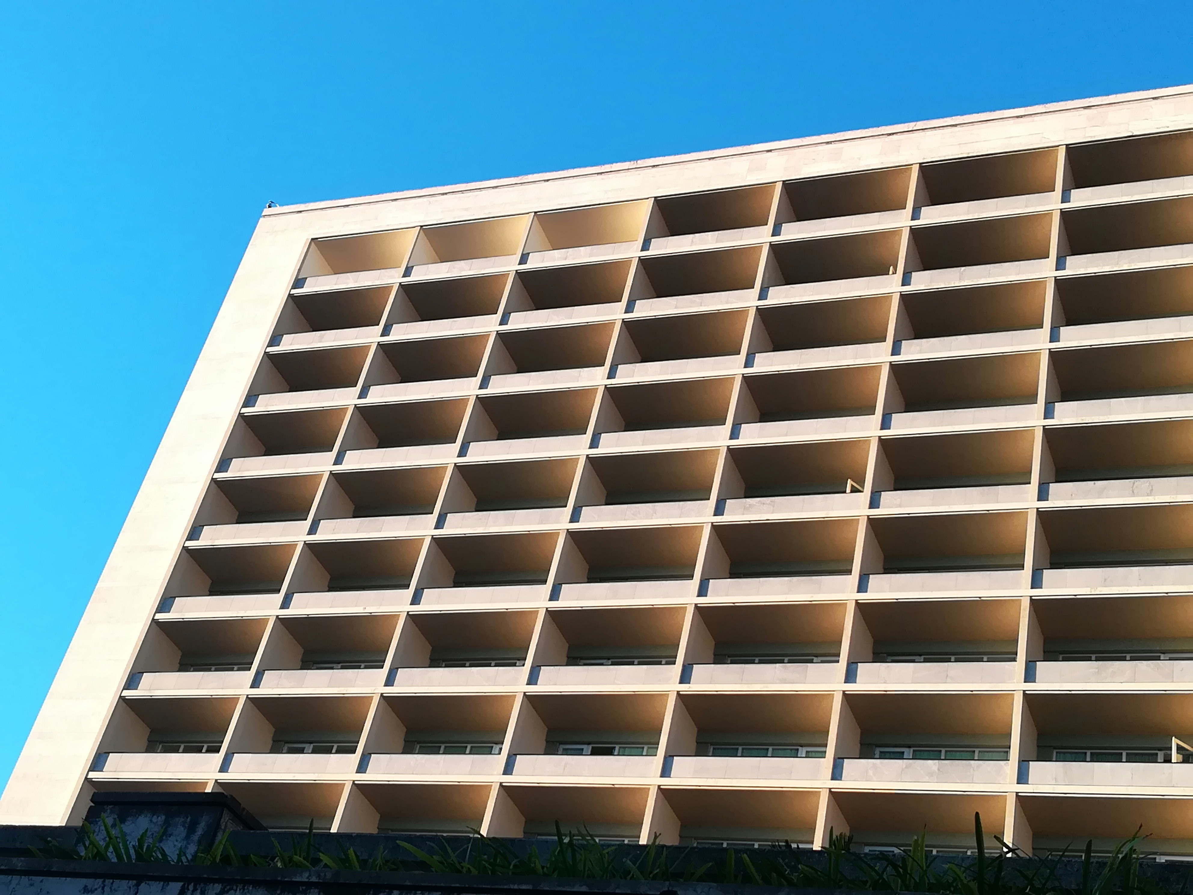 Photo by ana_monjardino