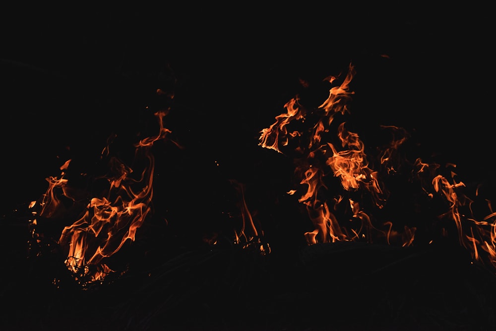 a large group of fire flames in the dark