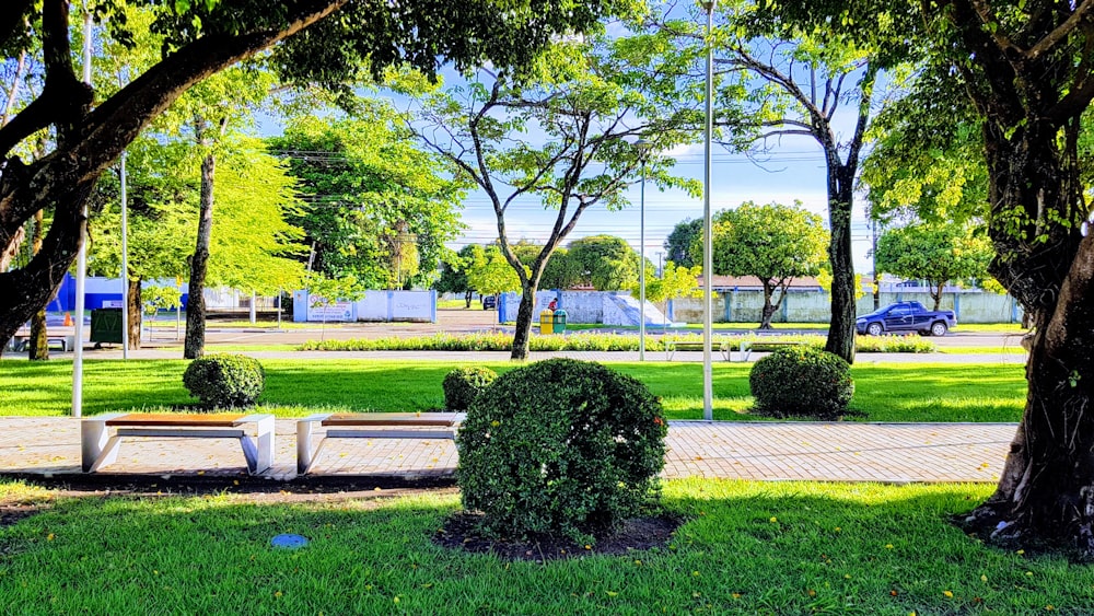 brown and white bench near green-leafed trees