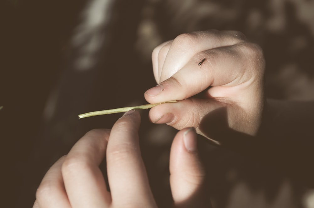 close-up photo of person holding stick