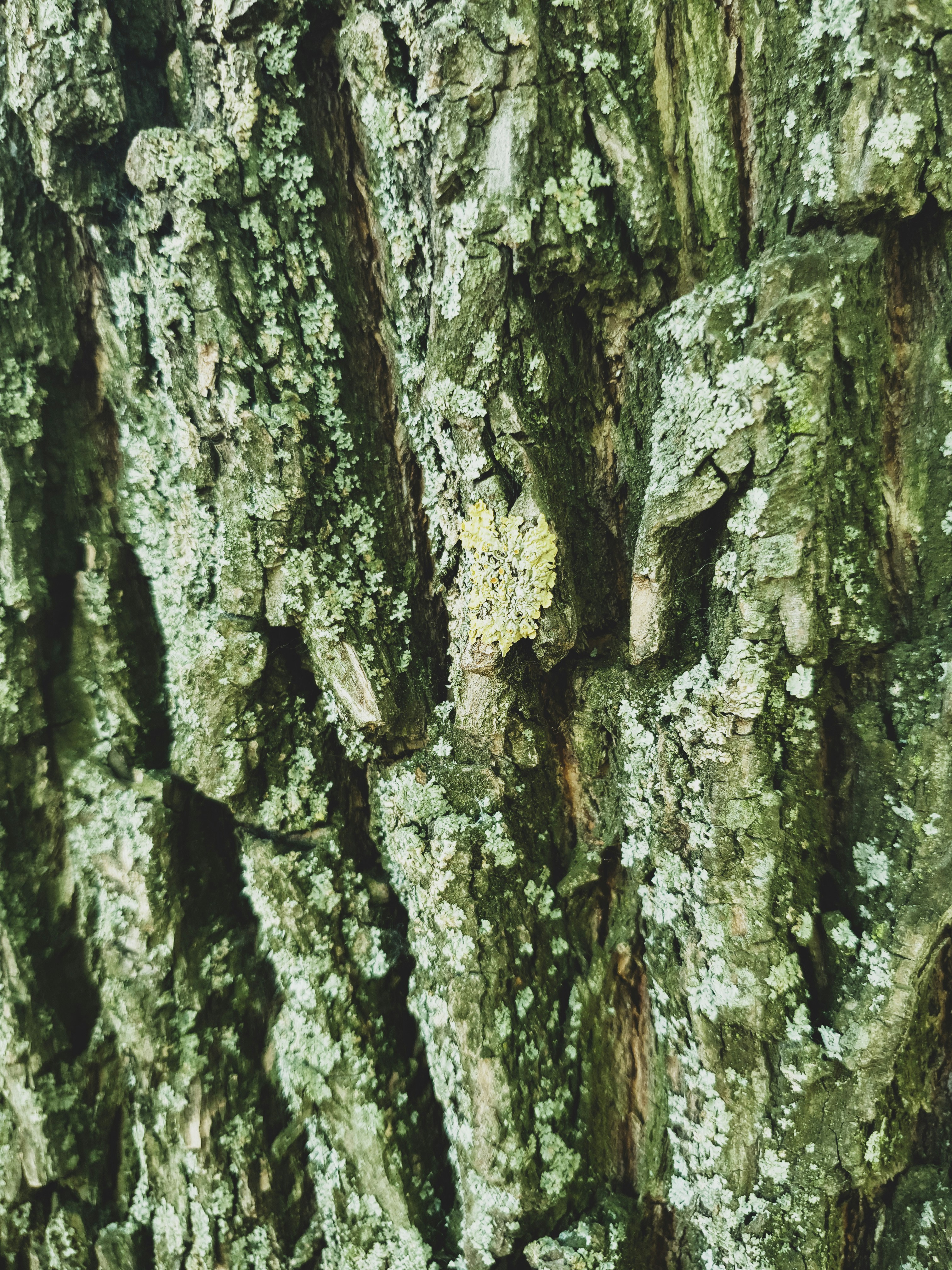 Photo by zalivochkina