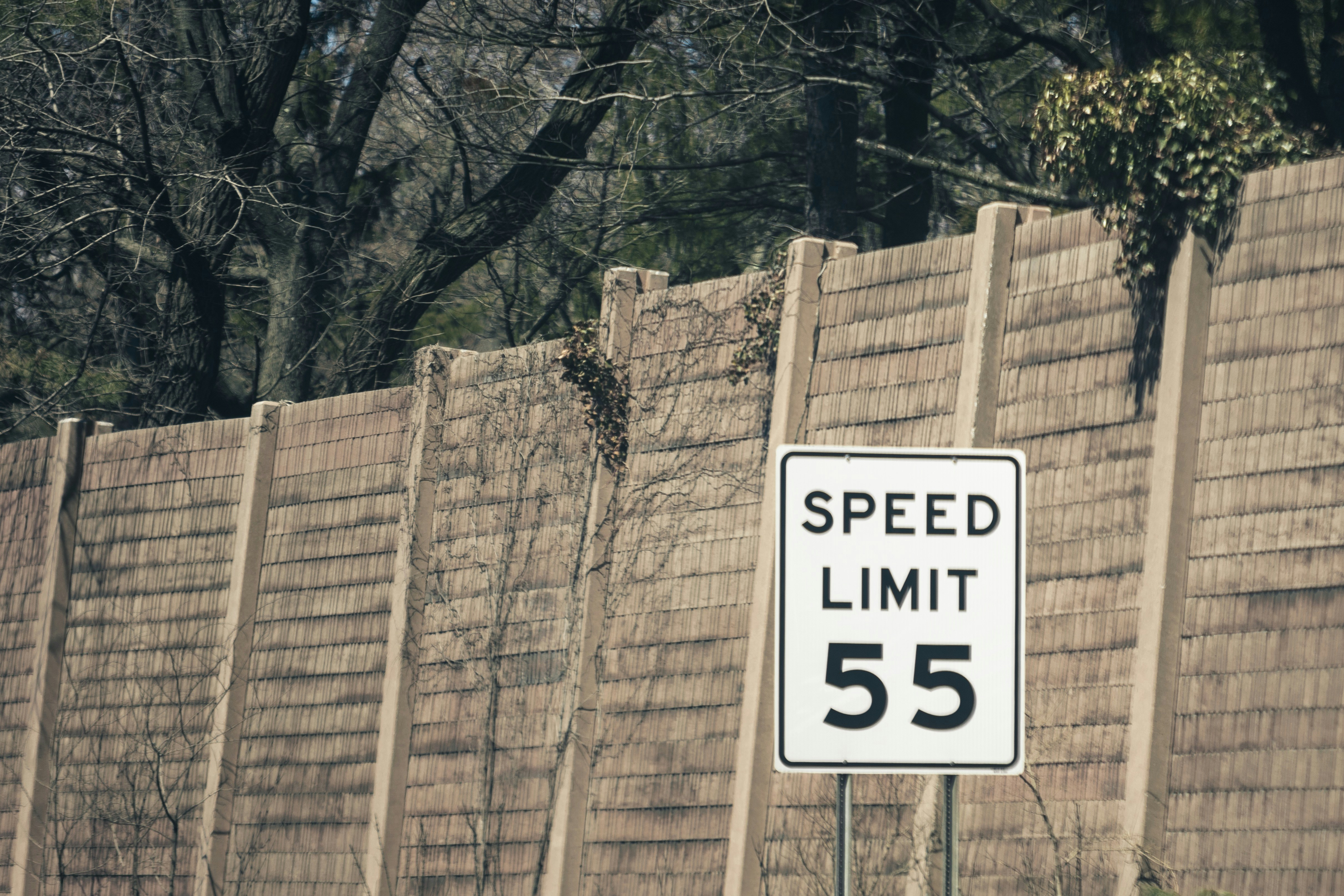 photo 1559829995 67a98f5c3864?ixlib=rb 4.0