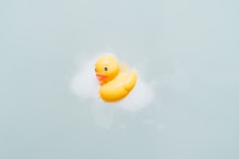 yellow bath duck