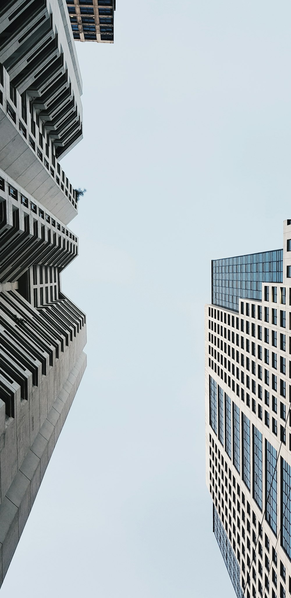 low angle photo of two high rise buildings