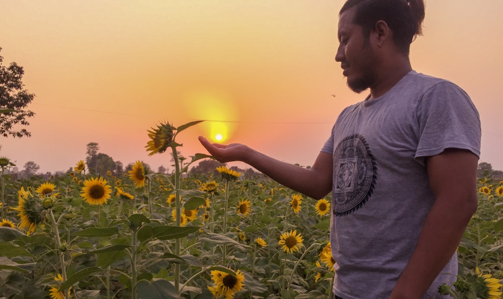 man on sunflower field