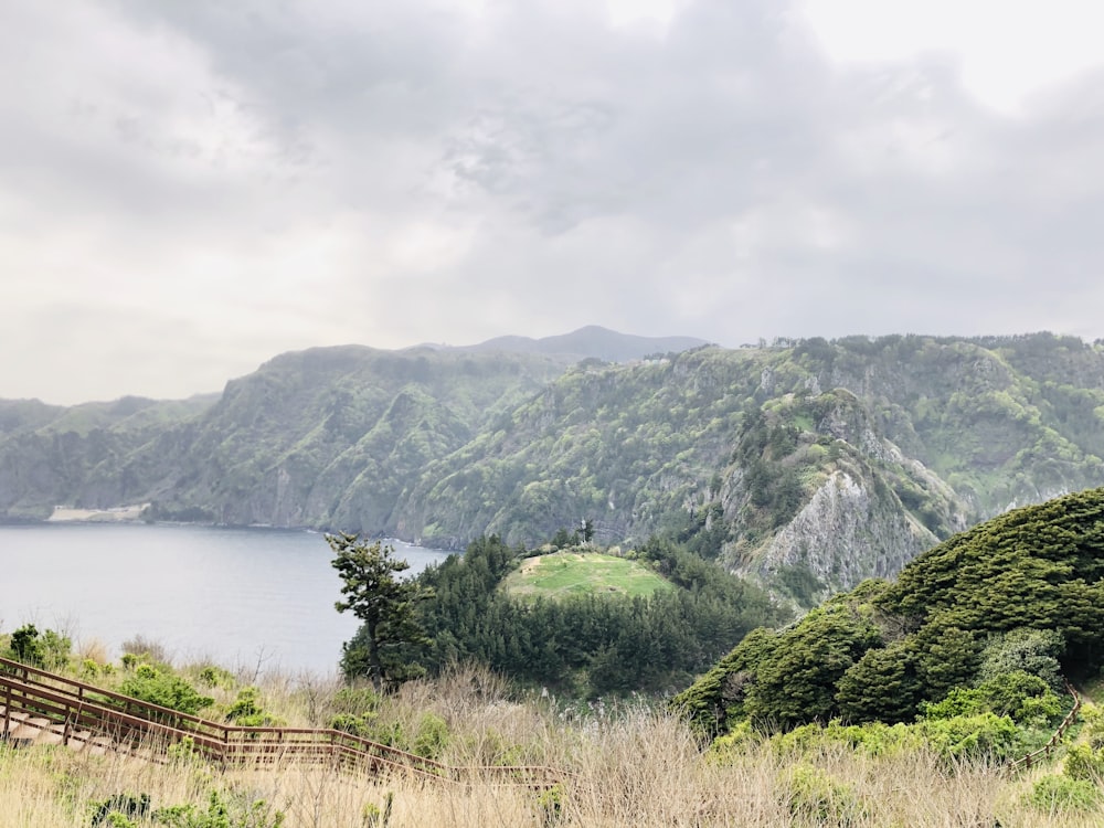 mountain near lake and field view