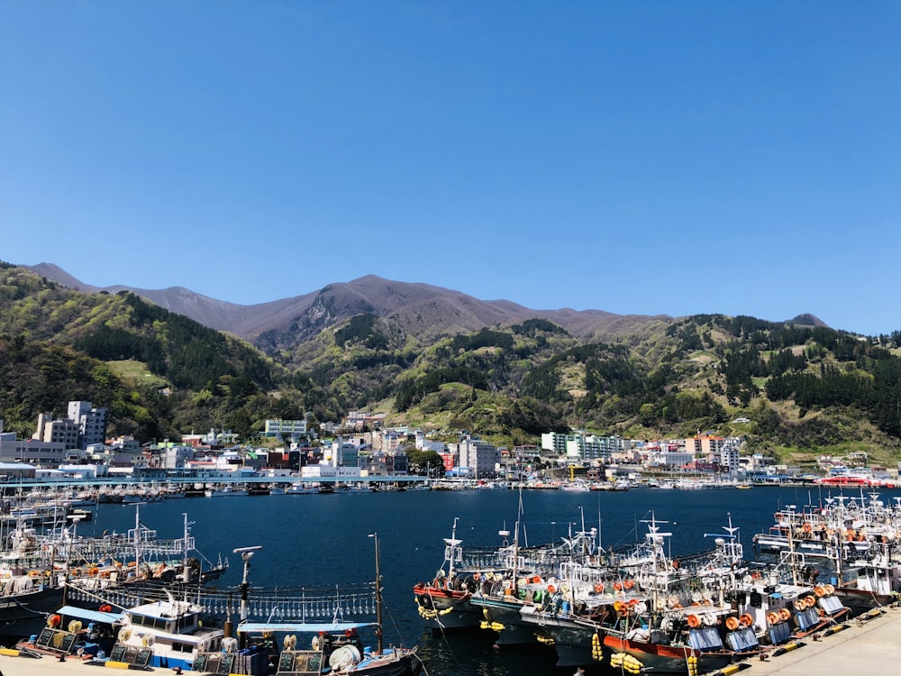 different boats on blue sea under blue skies